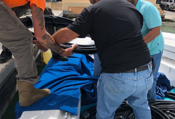 Teamwork in Vieques